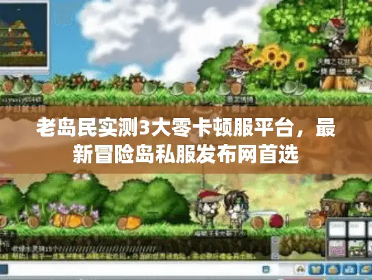 老岛民实测3大零卡顿服平台，最新冒险岛私服发布网首选