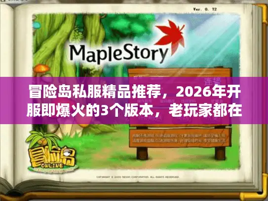 冒险岛私服精品推荐，2026年开服即爆火的3个版本，老玩家都在抢着进？