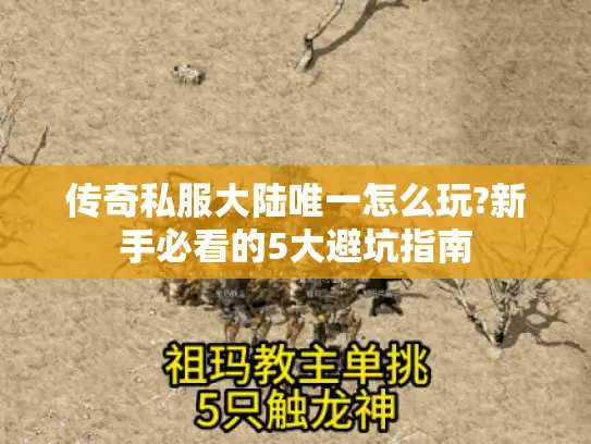 传奇私服大陆唯一怎么玩?新手必看的5大避坑指南