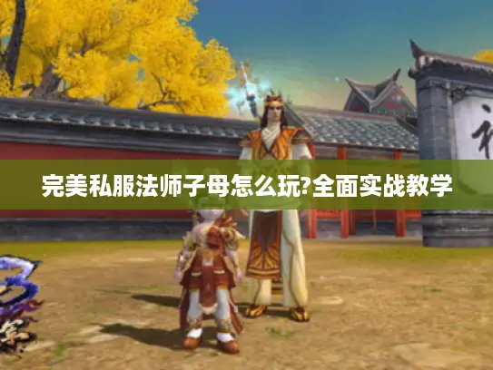 完美私服法师子母怎么玩?全面实战教学