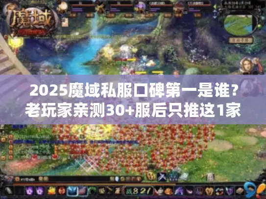 2025魔域私服口碑第一是谁?老玩家亲测30+服后只推这1家 2025魔域私服口碑第一是谁?老玩家亲测30+服后只推这1家