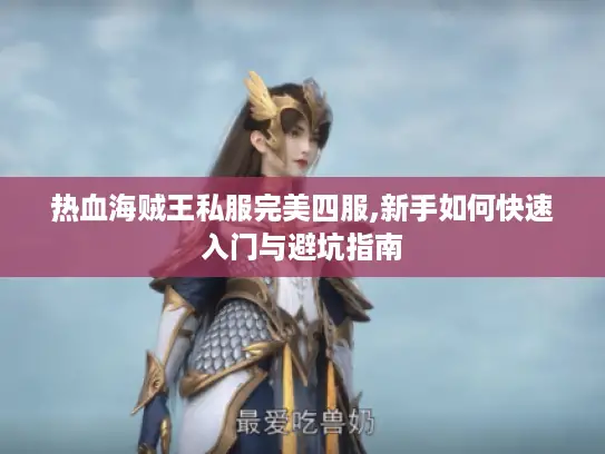 热血海贼王私服完美四服,新手如何快速入门与避坑指南