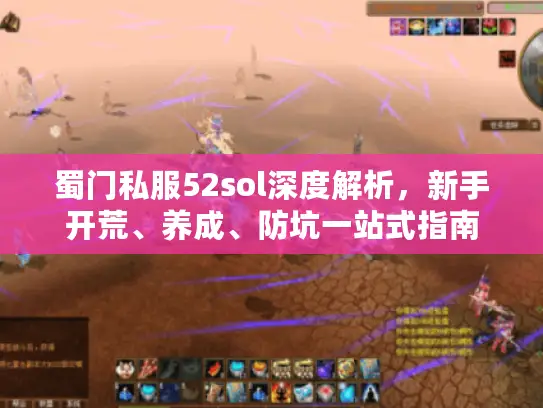 蜀门私服52sol深度解析，新手开荒、养成、防坑一站式指南