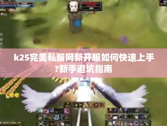 k25完美私服网新开服如何快速上手?新手避坑指南