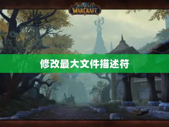 修改最大文件描述符