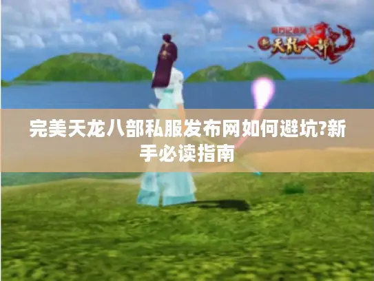 完美天龙八部私服发布网如何避坑?新手必读指南