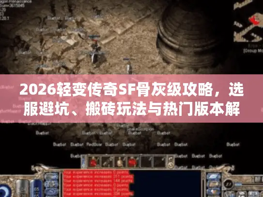 2026轻变传奇SF骨灰级攻略，选服避坑、搬砖玩法与热门版本解析
