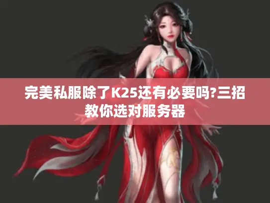 完美私服除了K25还有必要吗?三招教你选对服务器