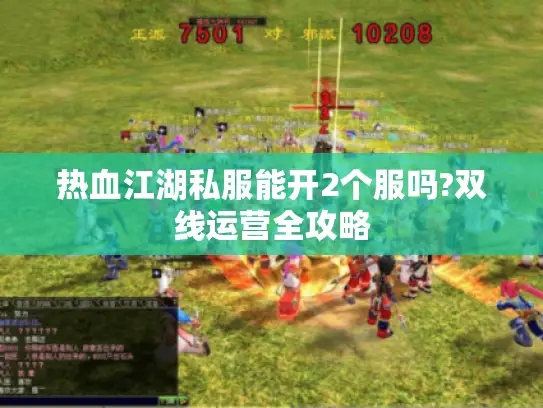 热血江湖私服能开2个服吗?双线运营全攻略