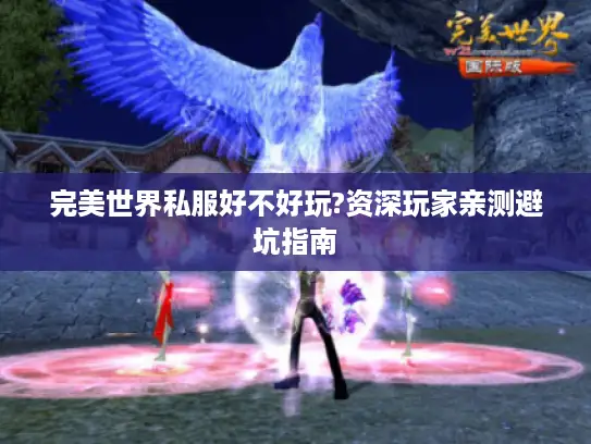 完美世界私服好不好玩?资深玩家亲测避坑指南 完美世界私服好不好玩?资深玩家亲测避坑指南