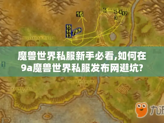魔兽世界私服新手必看,如何在9a魔兽世界私服发布网避坑?