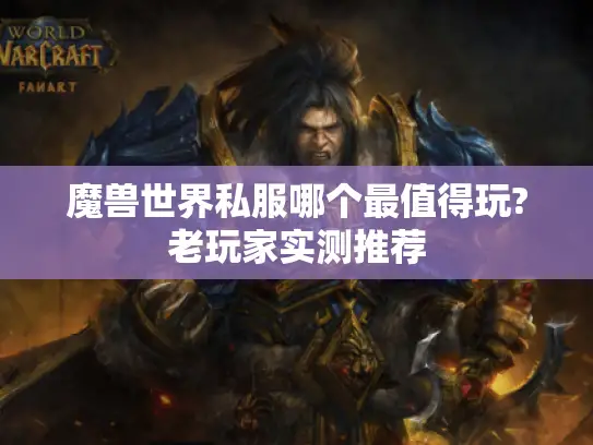 魔兽世界私服哪个最值得玩?老玩家实测推荐
