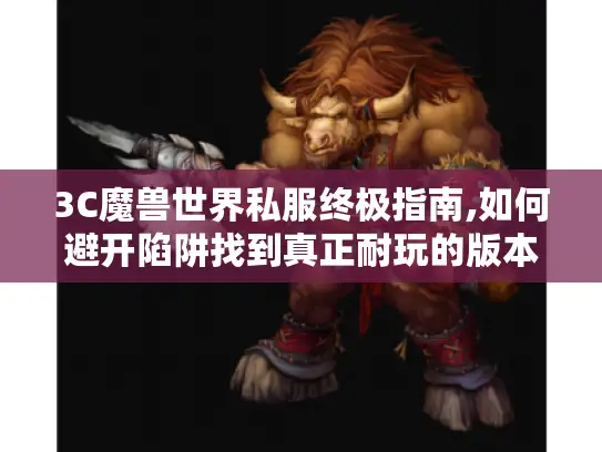 3C魔兽世界私服终极指南,如何避开陷阱找到真正耐玩的版本?