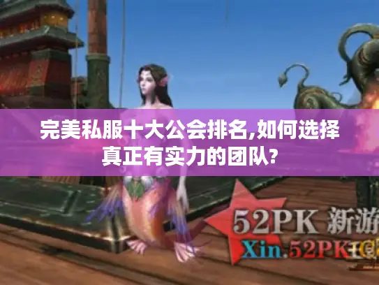 完美私服十大公会排名,如何选择真正有实力的团队? 完美私服十大公会排名,如何选择真正有实力的团队?