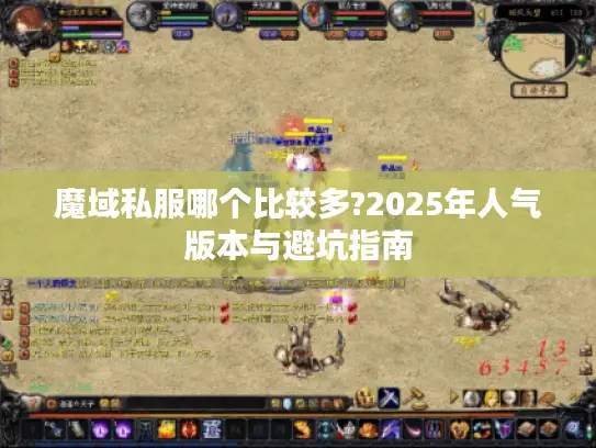 魔域私服哪个比较多?2025年人气版本与避坑指南