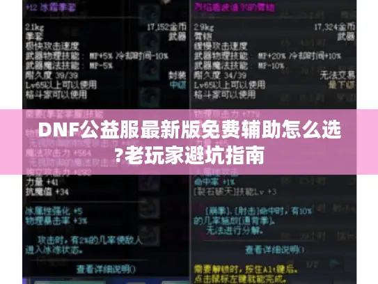 DNF公益服最新版免费辅助怎么选?老玩家避坑指南