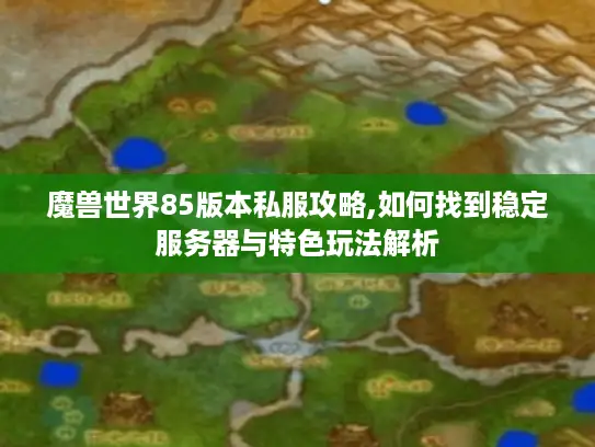 魔兽世界85版本私服攻略,如何找到稳定服务器与特色玩法解析