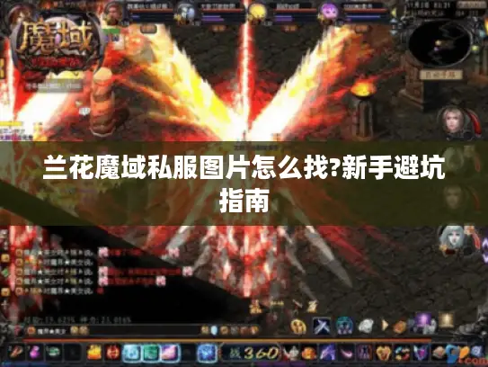 兰花魔域私服图片怎么找?新手避坑指南 兰花魔域私服图片怎么找?新手避坑指南