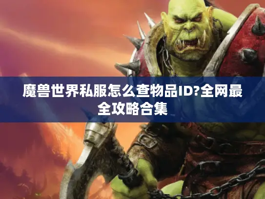 魔兽世界私服怎么查物品ID?全网最全攻略合集