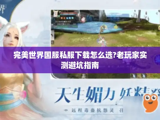 完美世界国服私服下载怎么选?老玩家实测避坑指南