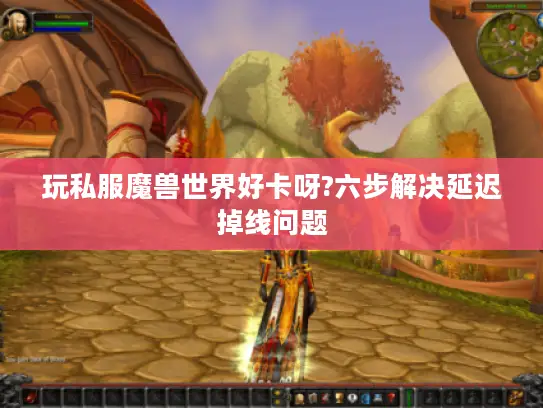 玩私服魔兽世界好卡呀?六步解决延迟掉线问题