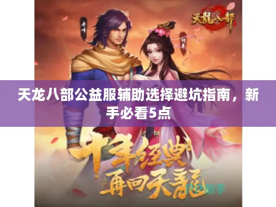 天龙八部公益服辅助选择避坑指南，新手必看5点