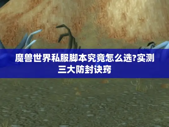 魔兽世界私服脚本究竟怎么选?实测三大防封诀窍