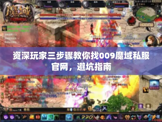 资深玩家三步骤教你找009魔域私服官网，避坑指南