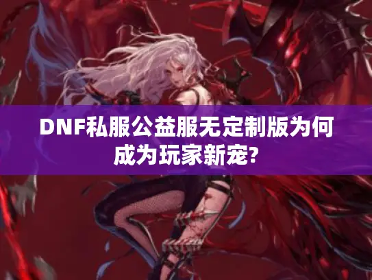 DNF私服公益服无定制版为何成为玩家新宠?