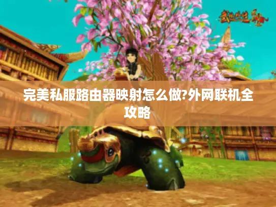 完美私服路由器映射怎么做?外网联机全攻略
