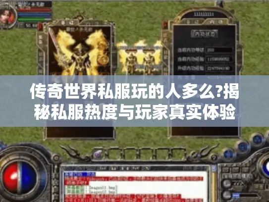 传奇世界私服玩的人多么?揭秘私服热度与玩家真实体验