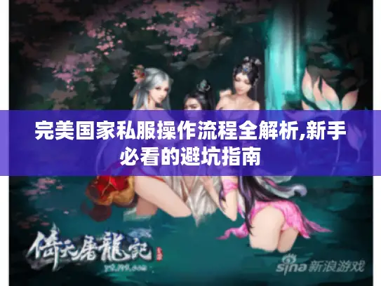 完美国家私服操作流程全解析,新手必看的避坑指南