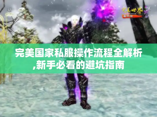 完美国家私服操作流程全解析,新手必看的避坑指南