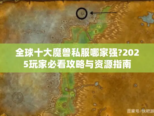 全球十大魔兽私服哪家强?2025玩家必看攻略与资源指南