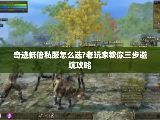 奇迹低倍私服怎么选?老玩家教你三步避坑攻略