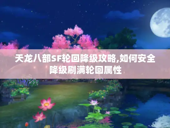 天龙八部SF轮回降级攻略,如何安全降级刷满轮回属性