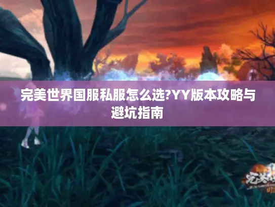 完美世界国服私服怎么选?YY版本攻略与避坑指南