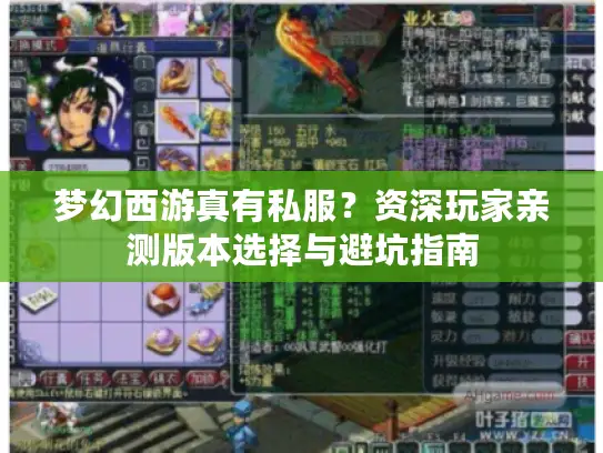 梦幻西游真有私服？资深玩家亲测版本选择与避坑指南