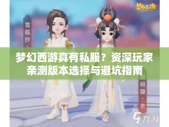 梦幻西游真有私服？资深玩家亲测版本选择与避坑指南