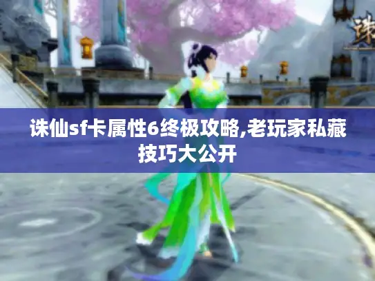 诛仙sf卡属性6终极攻略,老玩家私藏技巧大公开