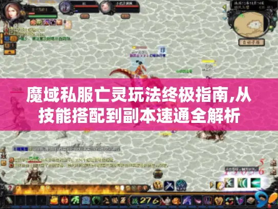 魔域私服亡灵玩法终极指南,从技能搭配到副本速通全解析 魔域私服亡灵玩法终极指南,从技能搭配到副本速通全解析