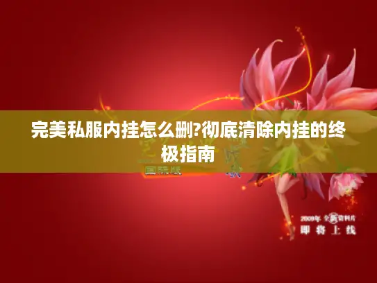 完美私服内挂怎么删?彻底清除内挂的终极指南