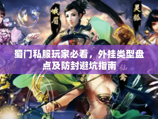蜀门私服玩家必看，外挂类型盘点及防封避坑指南