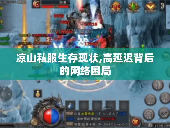 凉山私服生存现状,高延迟背后的网络困局