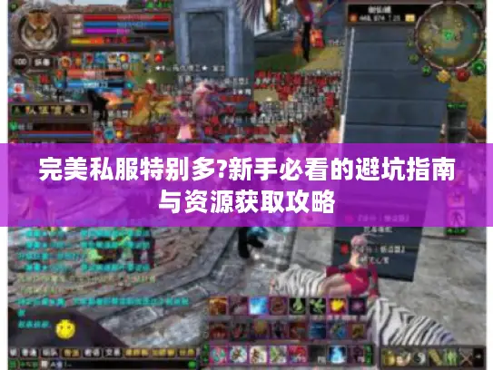 完美私服特别多?新手必看的避坑指南与资源获取攻略