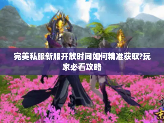 完美私服新服开放时间如何精准获取?玩家必看攻略