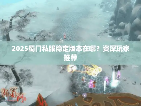 2025蜀门私服稳定版本在哪？资深玩家推荐