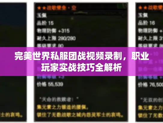 完美世界私服团战视频录制，职业玩家实战技巧全解析