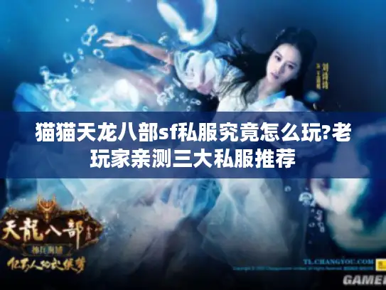 猫猫天龙八部sf私服究竟怎么玩?老玩家亲测三大私服推荐 猫猫天龙八部sf私服究竟怎么玩?老玩家亲测三大私服推荐