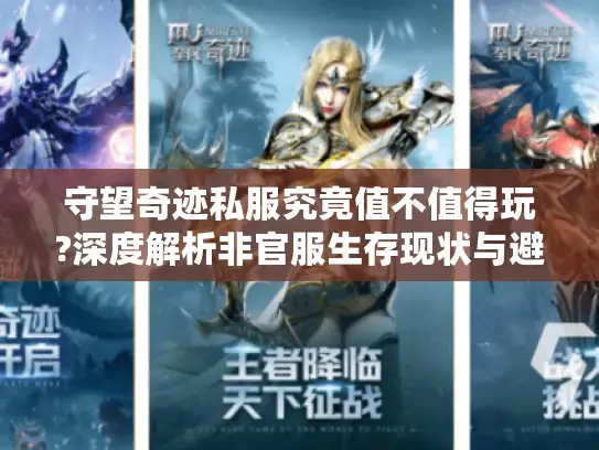 守望奇迹私服究竟值不值得玩?深度解析非官服生存现状与避坑指南